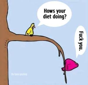 10553545_440917769396391_4946594825099486869_n[1]